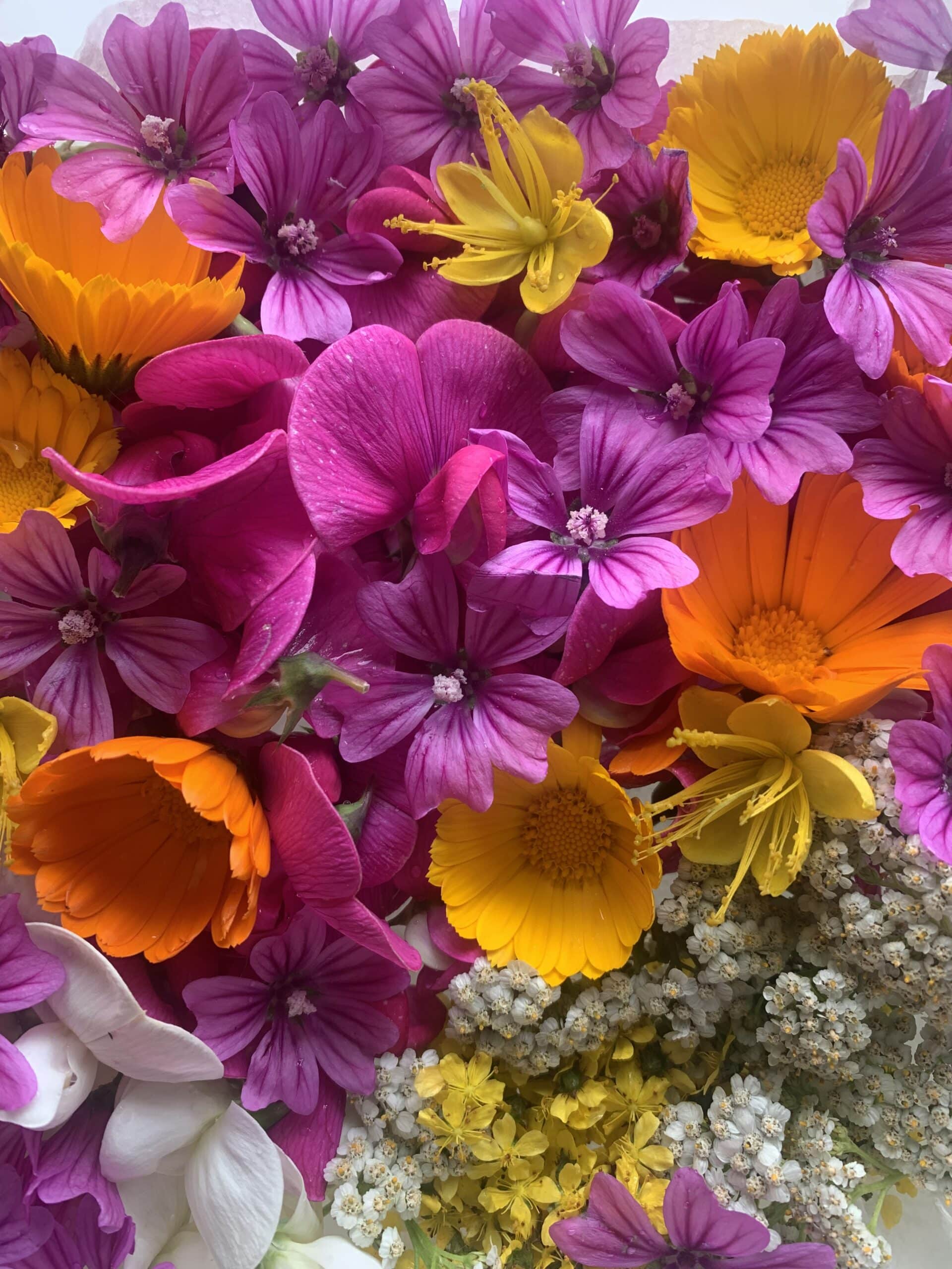 fleurs comestibles cotentin